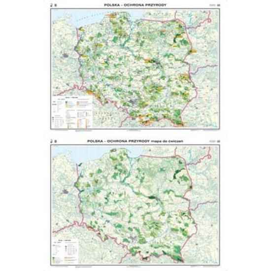 Polska. Mapa Ochrona przyrody / konturowa WDS