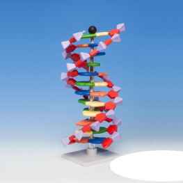 MODEL DNA ? PODSTAWOWY