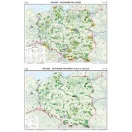 Polska. Mapa Ochrona przyrody / konturowa
