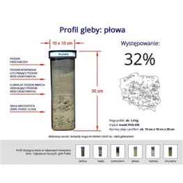 Profil gleby gleba próbki płowej PHU438