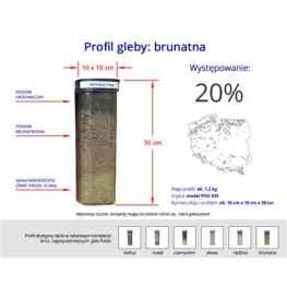 Profil gleby gleba próbki - brunatnej PHU439