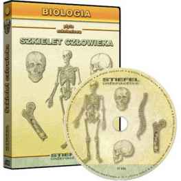 Szkielet człowieka - Układ kostny - CD