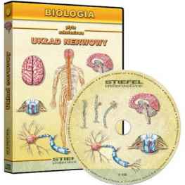 Układ nerwowy człowieka - CD