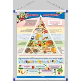 Piramida odżywiania