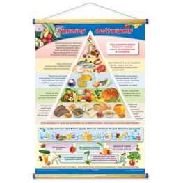 Piramida odżywiania