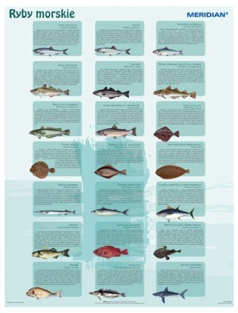Ryby morskie